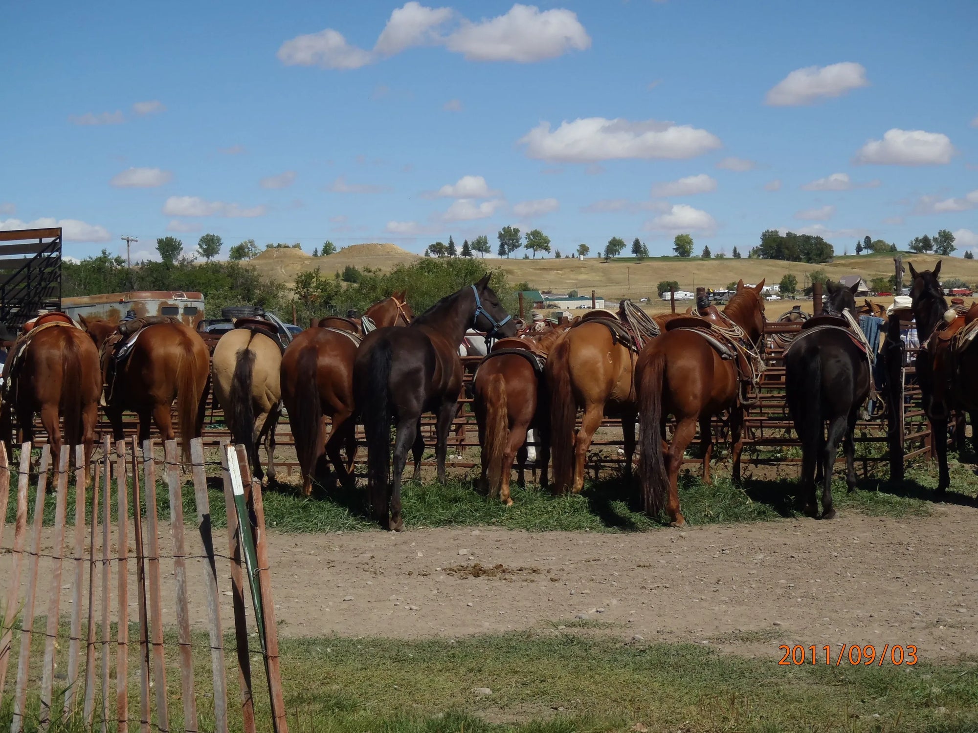 Equiscan(TM) Correct Saddle Fitting Clinics