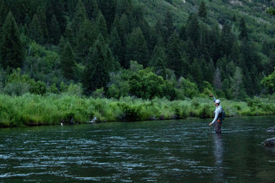 Plan for Father's Day... Surprise Your Father Today! With A Fishing Trip or Weekend Stay No Ark (Copy)