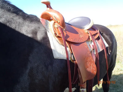 Equiscan(TM) Correct Saddle Fitting Clinics