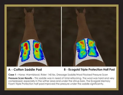 Equiscan(TM) Correct Saddle Fitting Clinics