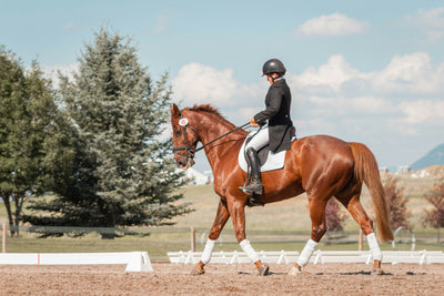 Equiscan(TM) Correct Saddle Fitting Clinics